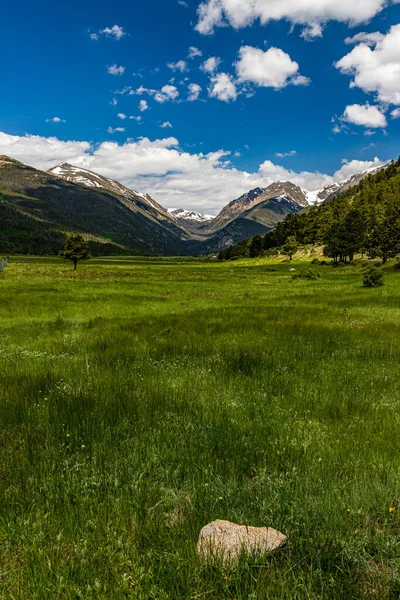 Sundance Mountain Mount Chapin Parque Nacional Rocky Mountain Colorado Visto — Foto de Stock