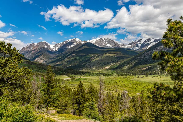 Colorado 'daki Rocky Dağı Ulusal Parkı' ndaki Fall River Yolu 'ndan Bighorn Dağı manzarası.