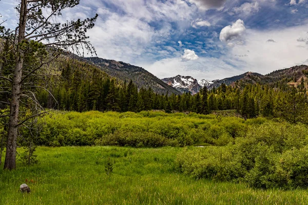 The Sawtooth National Forest covers two million acres in southern Idaho and northern Utah and includes the Sawtooth Mountains and the Sawtooth National Recreation Area.