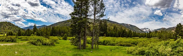 Floresta Nacional Sawtooth Cobre Dois Milhões Acres Sul Idaho Norte — Fotografia de Stock