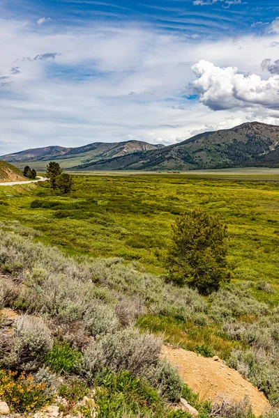 Sawtooth Ulusal Ormanı Güney Idaho Kuzey Utah Iki Milyon Hektarlık — Stok fotoğraf