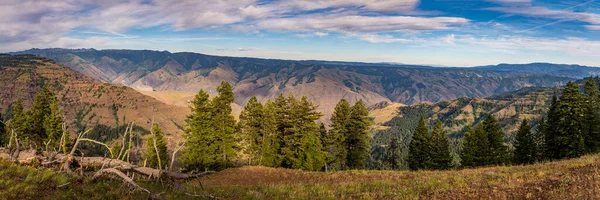 A view into Idaho from Hells Canyon Overlook in Oregon.