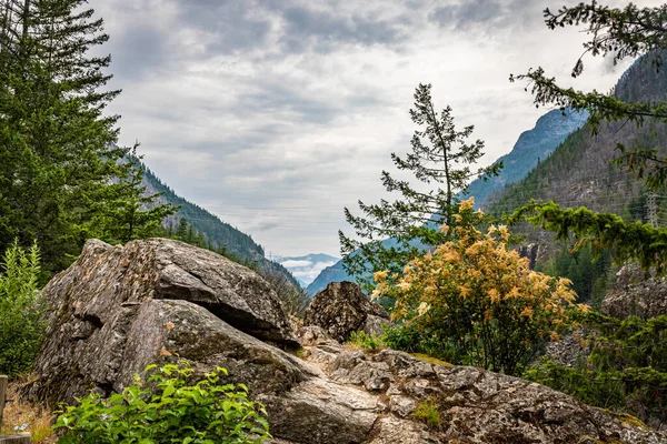 North Cascades National Park is a remote, rugged wilderness in the North Cascades mountain range of northern Washington state.