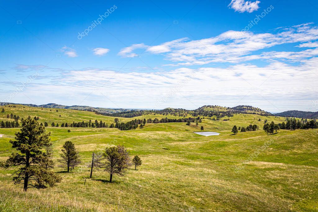 A viewpoint along the Wildlife Loop Road at Custer State Park in the Black Hills of South Dakota.