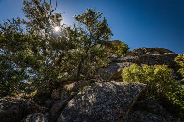 Idaho 'daki Kayalıklar Şehri, Kaliforniya patikasının orta noktasını belirledi ve bugün kaya tırmanışı etkinlikleri sunuyor..