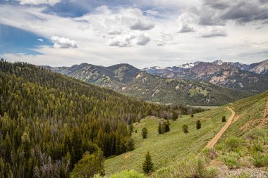 Sawtooth Ulusal Ormanı güney Idaho ve kuzey Utah 'ta iki milyon dönüm araziyi kapsıyor..