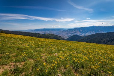 Cennetin Kapısı Vista, Batı Idaho 'daki Yedi Şeytani Dağ' a ve Hells Canyon Ulusal Eğlence Bölgesi 'ne bakıyor..