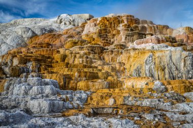 Wyoming 'deki Yellowstone Ulusal Parkı' nda Mamut Kaplıcası.