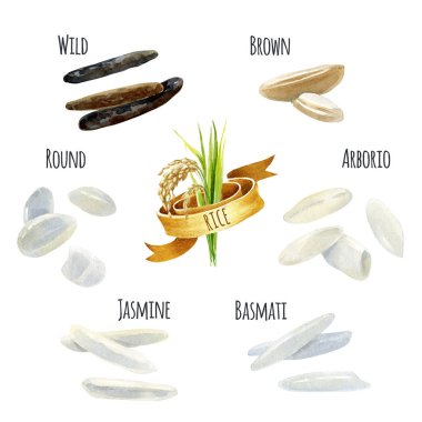 Rice  watercolor illustration set with clipping paths clipart