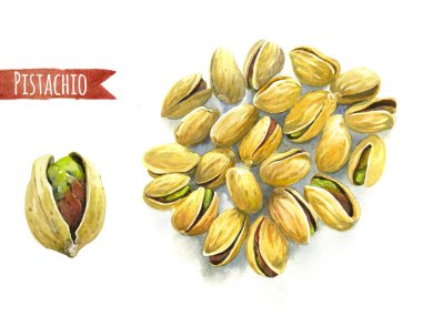 Antep fıstığı, suluboya resim