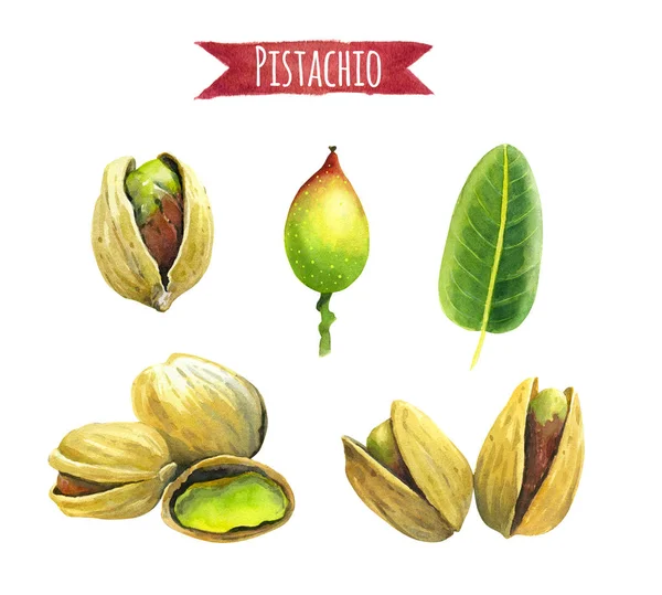 Pistacho, ilustración de acuarela con ruta de recorte — Foto de Stock