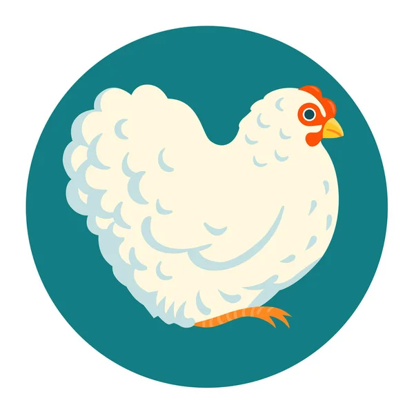 Белая пушистая векторная иллюстрация курицы — стоковый вектор