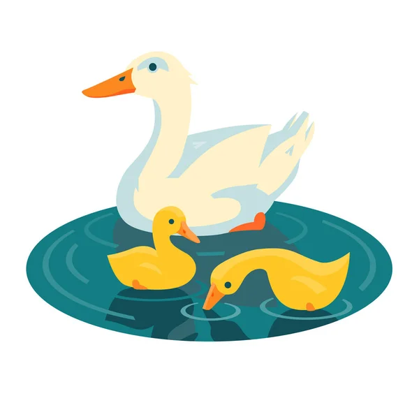2 ducklings 일러스트와 함께 수영 하는 오리 — 스톡 벡터