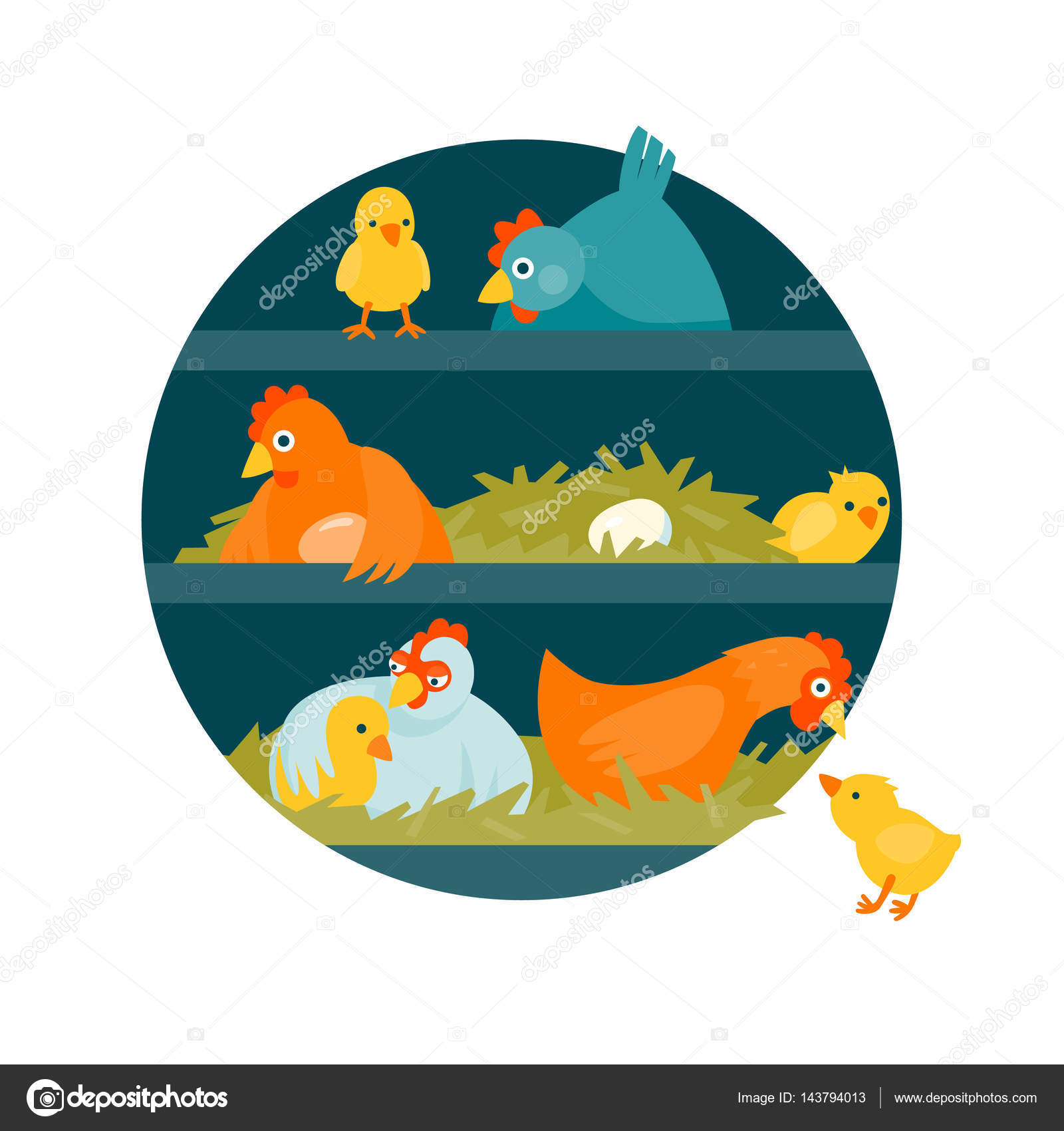 Poulailler Rond Illustration Vectorielle Image Vectorielle Ananci