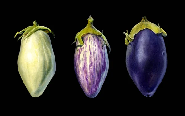 Drie aubergines op zwarte achtergrond aquarel illustratie — Stockfoto