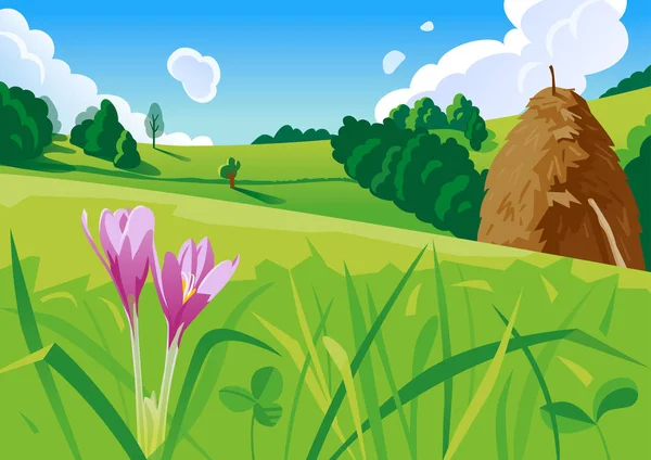 Paysage estival avec une illustration en botte de foin — Image vectorielle