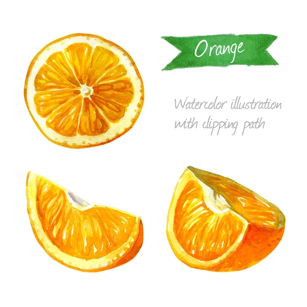 Illustration aquarelle isolés de tranches d’orange — Photo