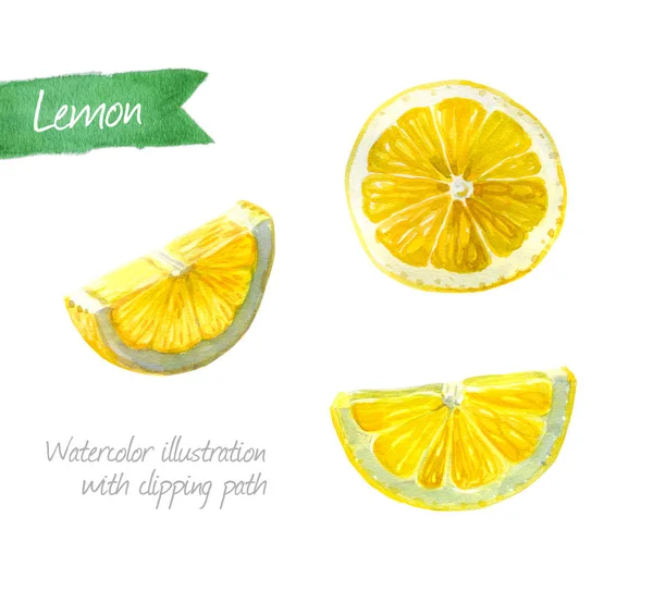 Fette di limone isolato acquerello illustrazione — Foto Stock