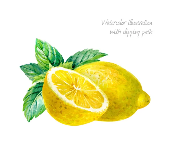 Citron med mynta blad isolerade på vita akvarell illustration — Stockfoto