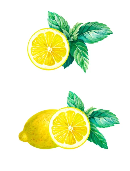 Limone con foglie di menta isolato su illustrazione acquerello bianco — Foto Stock