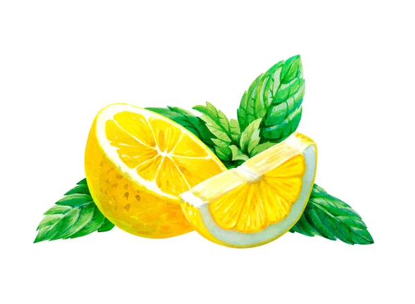 Citron aux feuilles de menthe isolées sur illustration aquarelle blanche — Photo