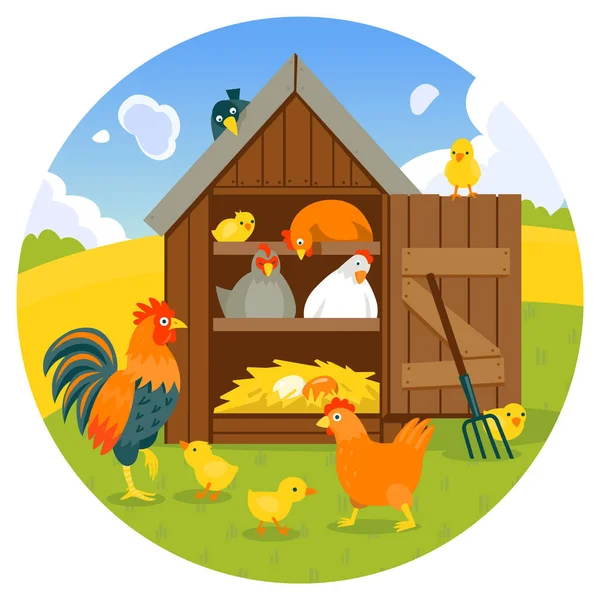 Henhouse com pássaros engraçados em uma ilustração de vetor de gramado verde —  Vetores de Stock