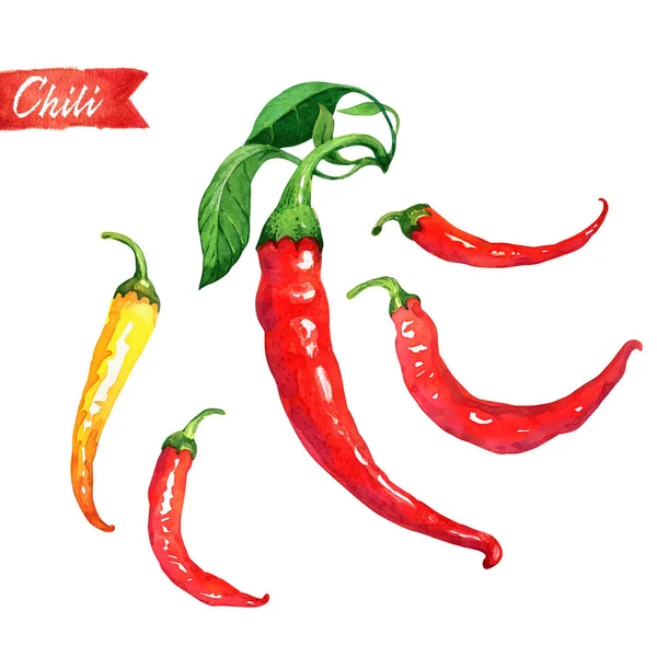 Uppsättning av färsk chilipeppar isolerad på vita akvarell illustration — Stockfoto