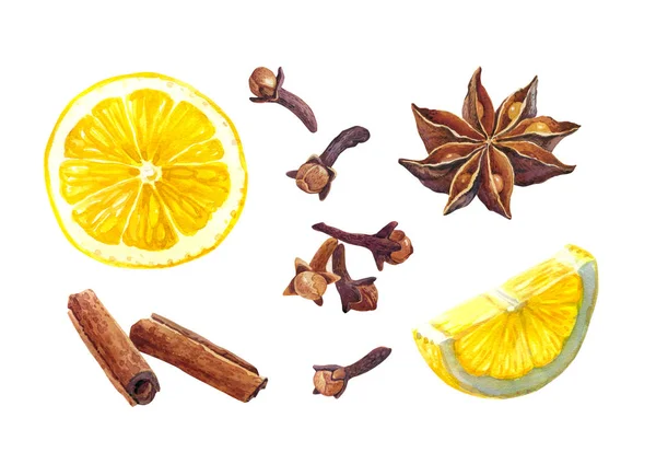 Citron et épices d'hiver isolés sur l'aquarelle blanche illustratio — Photo