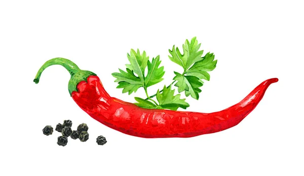 Pimienta roja con hojas de perejil y pimienta negra aislada en la ilustración de acuarela blanca — Foto de Stock