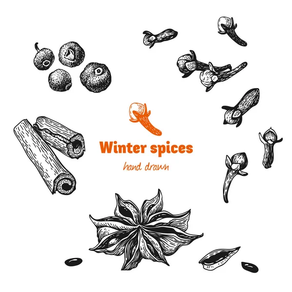 Especiarias de inverno isoladas na ilustração desenhada à mão vetorial branca — Vetor de Stock