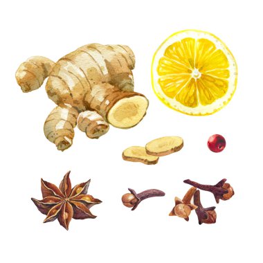 Limon, giger ve kış baharat izole üzerinde beyaz sulu boya resimde ayarla