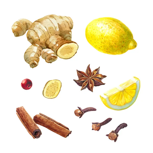 Лимон, гіґґер та зимові спеції ізольовані на білому акварельному ілюстраційному наборі — стокове фото