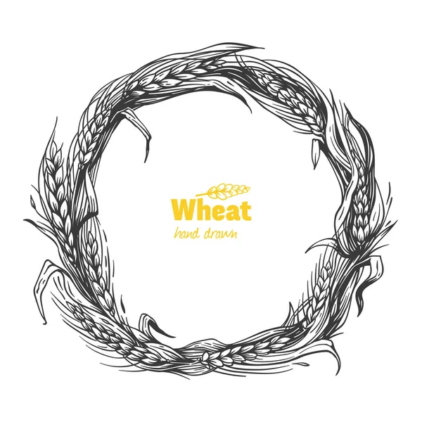 Wheat wreath hand drawn vector illustration — Stock Vector