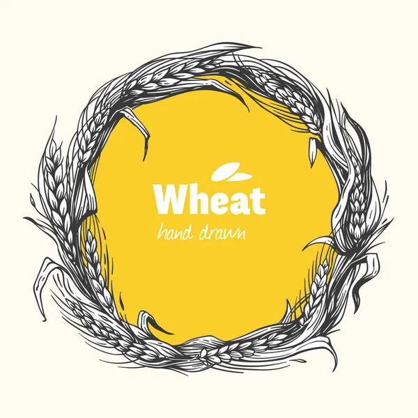 Wheat wreath hand drawn vector illustration — Stock Vector