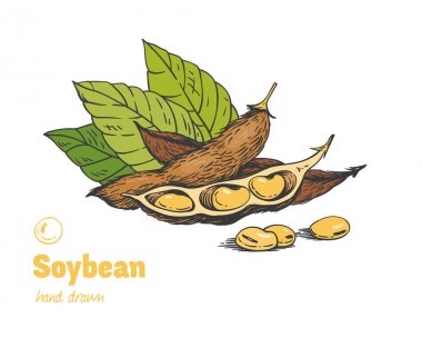 Soya elle çizilmiş çizim seti 