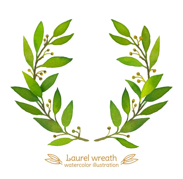 Laurel Bay wreath watercolor illustration — 스톡 사진