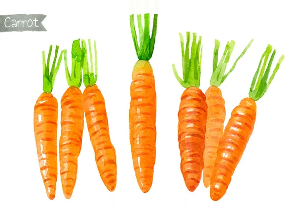 Морква аквареллю ілюстрація — стокове фото