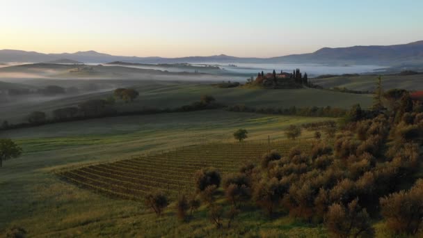 托斯卡纳日出景观 日落了葡萄园 Vinery 有柏树的意大利地产 空中视图 — 图库视频影像