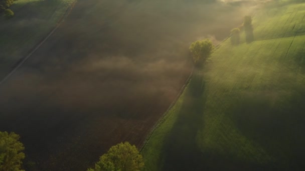 トスカーナの霧の風景 トスカーナの霧の日の出 空中展望 ドローンビュー — ストック動画