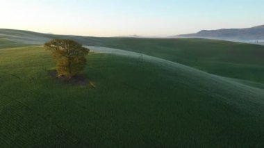 Toskana Bahar Manzarası. Tipik Toskana Tepeleri. Hava görüntüsü. Drone Görünümü