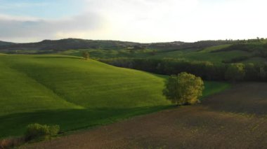 Toskana Bahar Manzarası. Tipik Toskana Tepeleri. Hava görüntüsü. Drone Görünümü