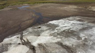 Yavrularıyla kahverengi ayı. Kamçatka 'da Yürüyen Yavrularla Ayı. Drone Video. Hava Görünümü.