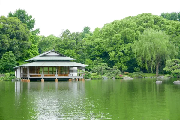 Yeşil ağaç, geleneksel Japon ev, Bahçe ve su birikintisi — Stok fotoğraf