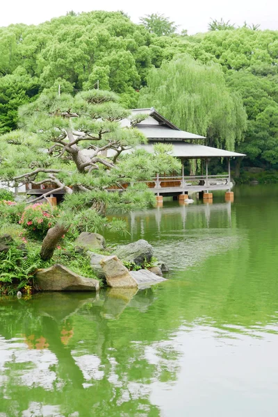 Κάθετη πράσινο πεύκο, κατώφλι, παραδοσιακό ιαπωνικό σπίτι — Φωτογραφία Αρχείου