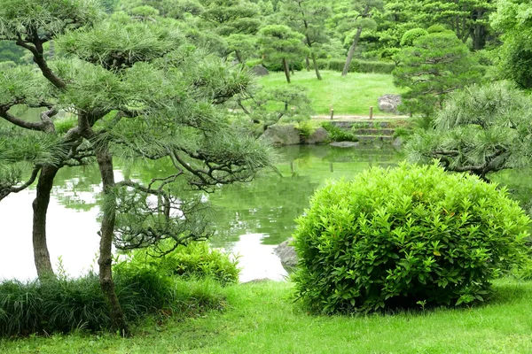 禅宗花园中的绿色植物、树木和湖泊 — 图库照片