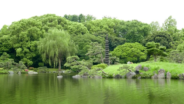 Japoński odkryty kamień latarniowy i jezioro w ogrodzie zen — Zdjęcie stockowe