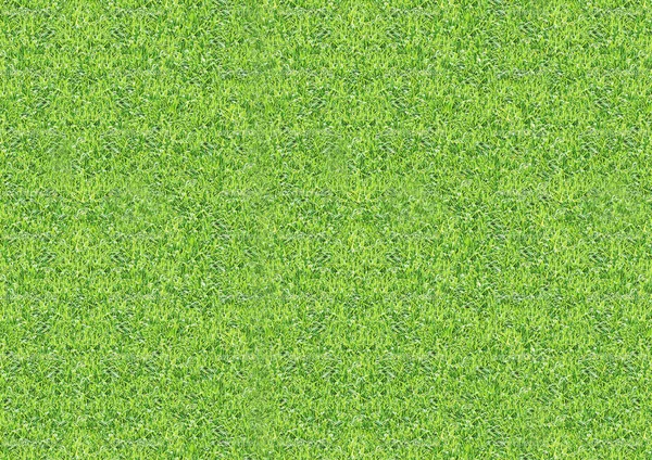 Horizontal green outdoor grass texture background — Stock Photo, Image