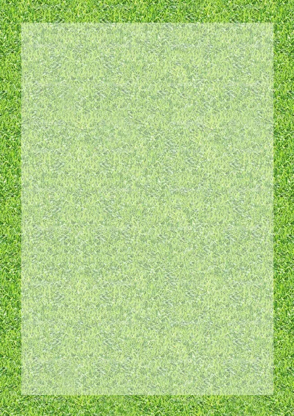 Green grass texture paper background with border — Stock Photo, Image