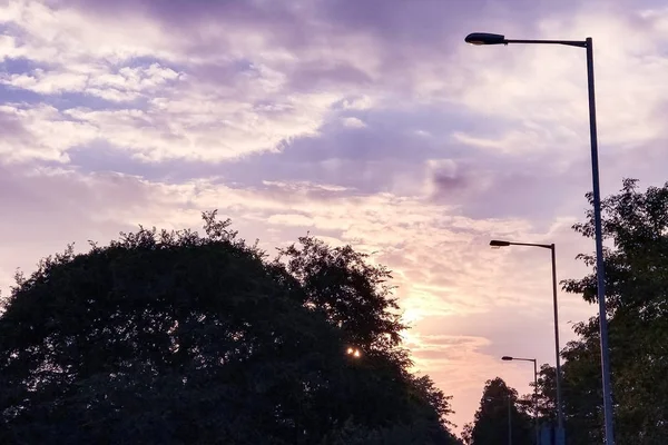 Die Silhouette von Baum und Straßenlaterne mit violettem Himmel — Stockfoto