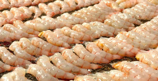 Crevettes fraîches de fruits de mer crus sur filet métial extérieur — Photo